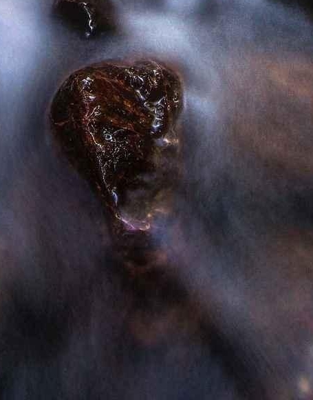 粉象生活邀请码