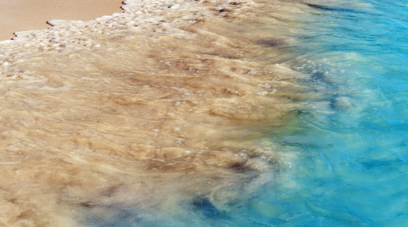 粉象生活赚钱靠谱吗