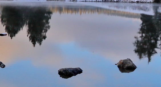 粉象生活分享后怎么没有佣金