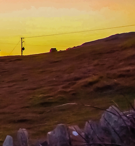 粉象生活如何赚积分