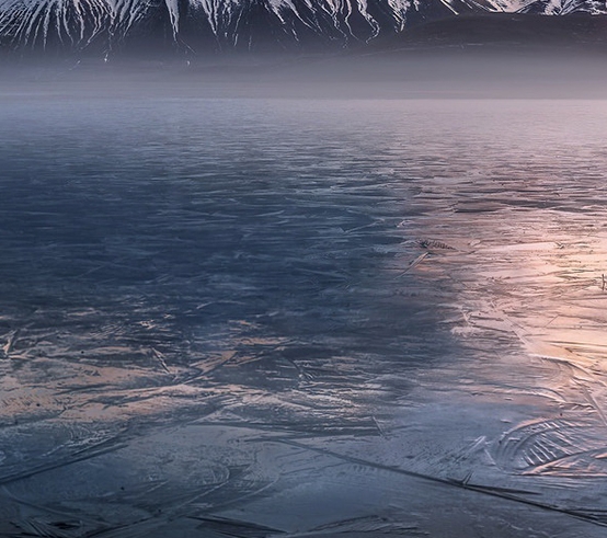 粉象生活测试