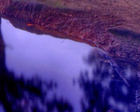 粉象生活邀请码