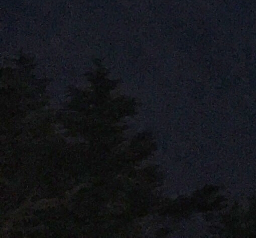 粉象生活可以赚钱吗