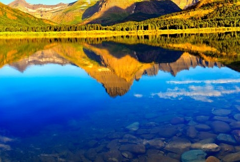 粉象生活下载app