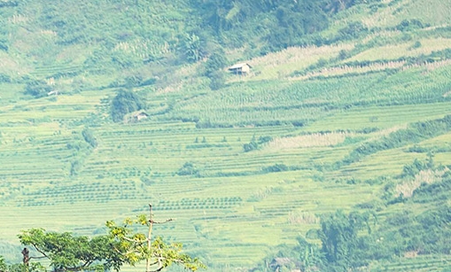 粉象生活如何赚钱