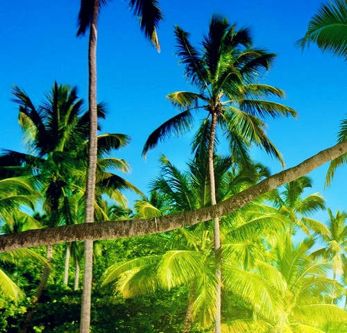 粉象生活订酒店