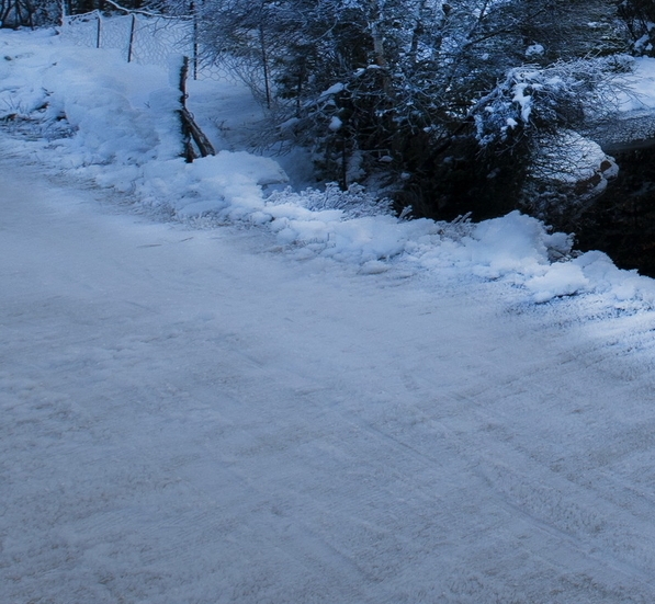 河南正规粉象生活怎么样