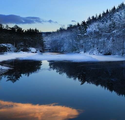 粉象生活怎么赚钱的