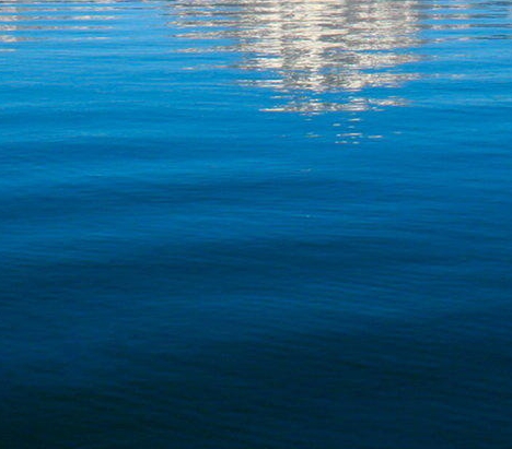 粉象生活是正规平台吗