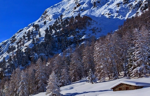 粉象生活怎么赚钱