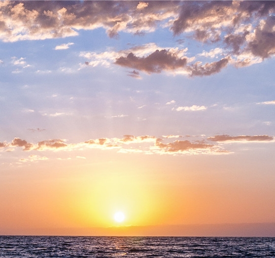 粉象生活下载app