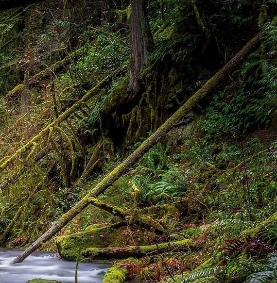 泰安粉象生活积分
