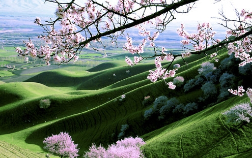 粉象生活官网首页