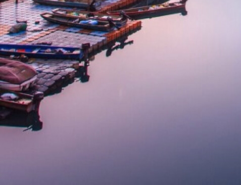 粉象生活是做什么的啊