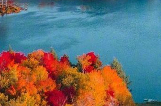 盐城粉象生活佣金