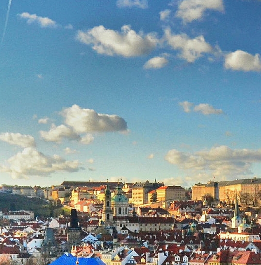 粉象生活真实收入