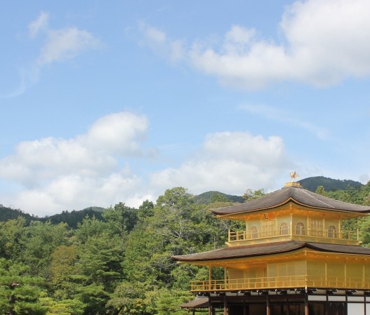 粉象生活app