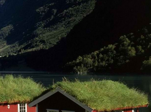 粉象生活怎么开店教程