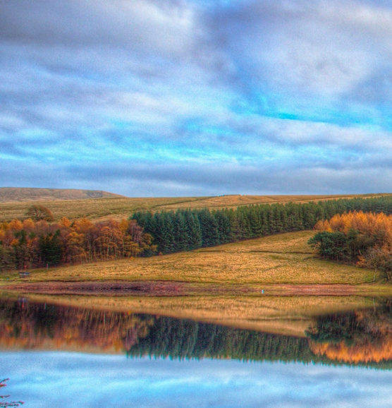 粉象生活自己发货怎么收费