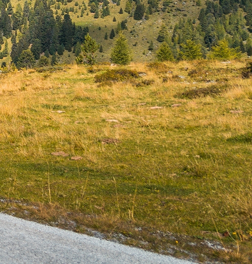 粉象生活用什么东西赚钱