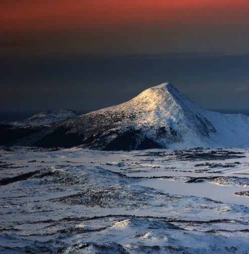 高省和粉象生活哪个好