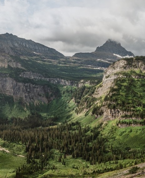 粉象生活可以赚钱吗