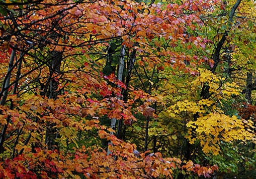 什么小生意好做又赚钱