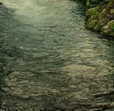 如何做社群运营