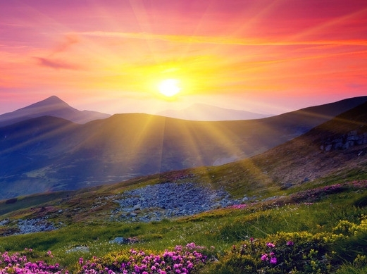 粉象生活下载app