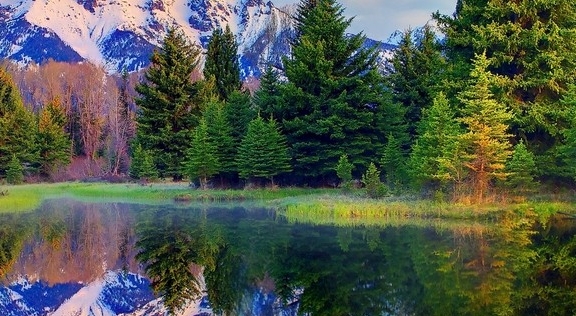 如何运营好粉象生活