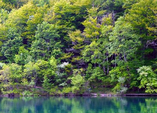 粉象生活邀请365153