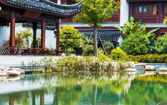 粉象生活app