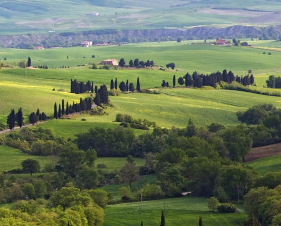 粉象生活平台合法吗?
