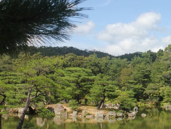 粉象生活下载app