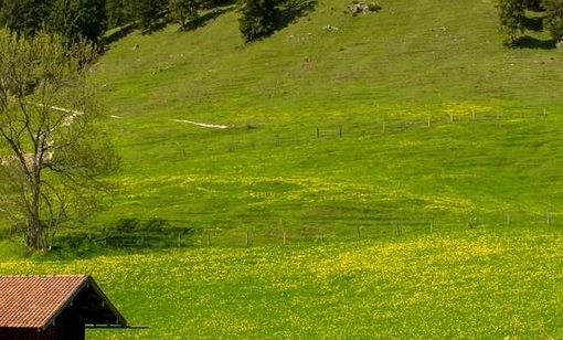 粉象生活有自动扣费吗