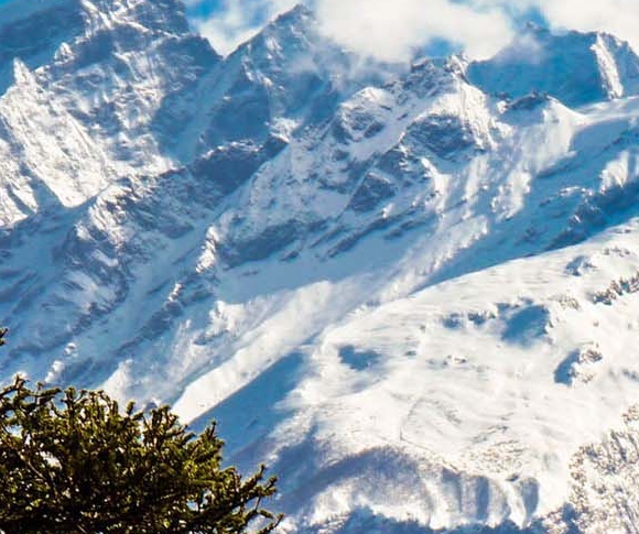 粉象生活app靠谱吗