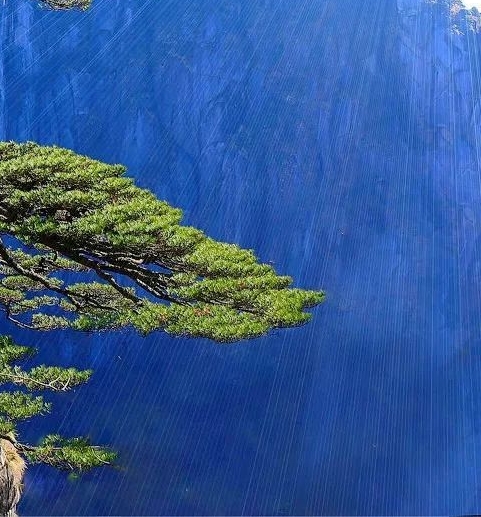 湖南品质粉象生活靠谱么