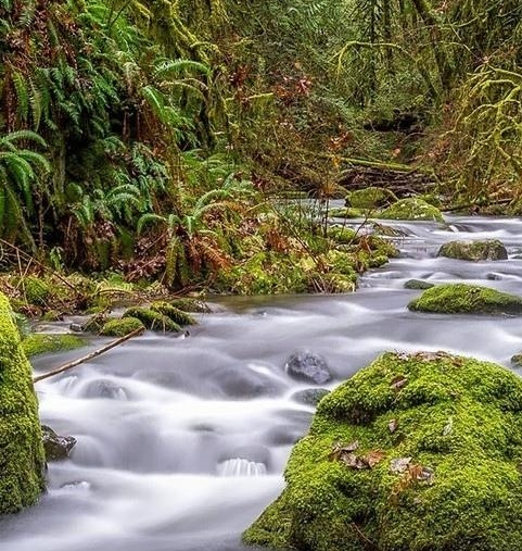 粉象生活赚钱教程