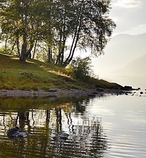 粉象生活宝妈如何挣钱
