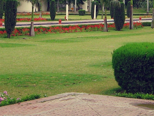 湖南粉象生活收入