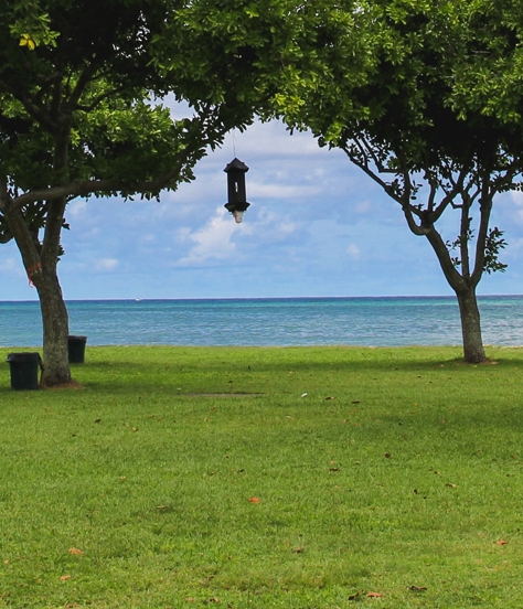 粉象生活升级VIP必须交钱