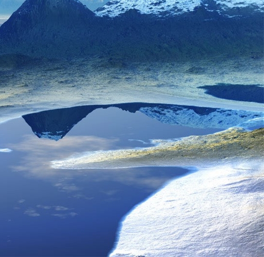 粉象生活骗局大揭秘