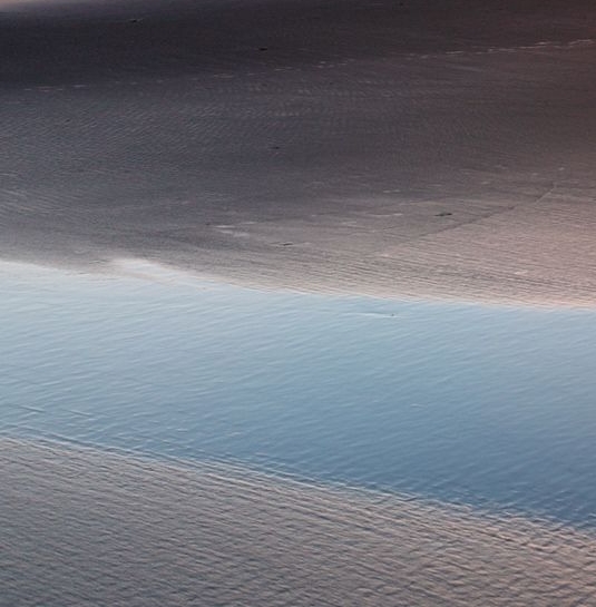 生活属于哪个领域