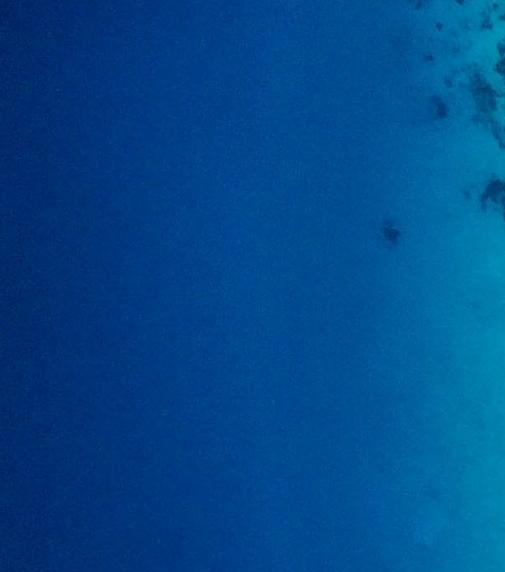 粉象生活可以赚钱吗