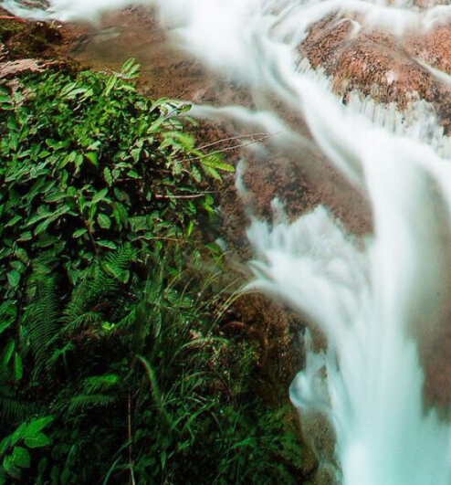 粉象生活日推广50人