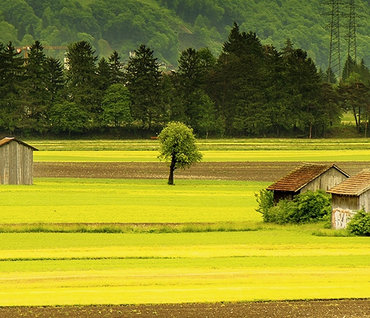 粉象生活拆红包是真的吗