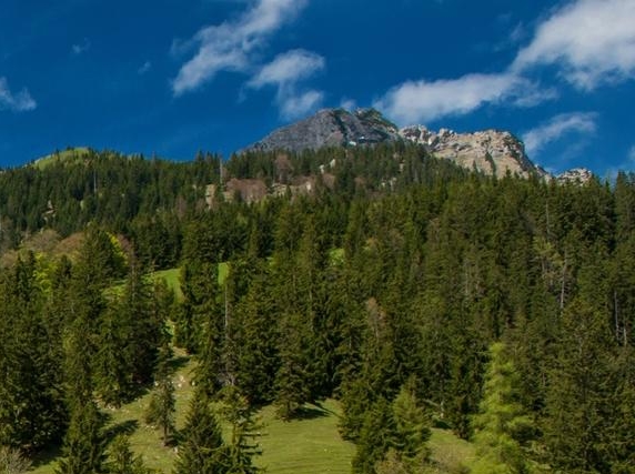 粉象生活商家怎么做
