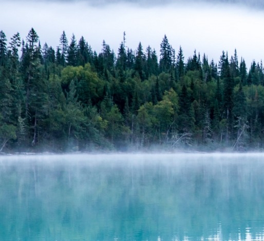 粉象生活能长久吗