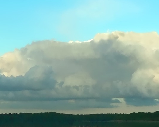 粉象生活官网首页
