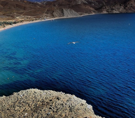 粉象生活头像可以修改吗